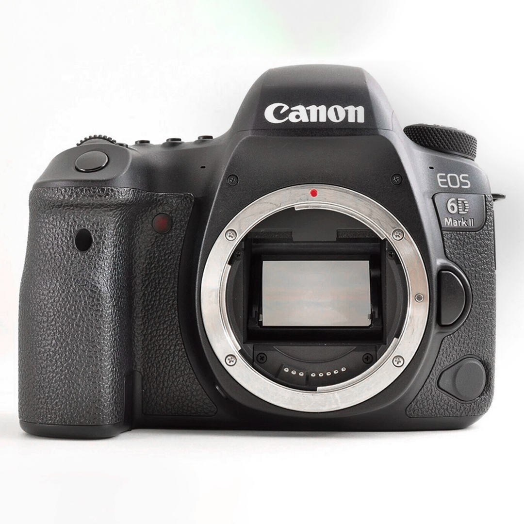 2-Canon 6D MK II (11)_proc