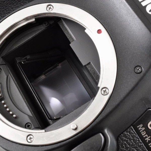 Canon 6D MK II cuerpo - Imagen 4