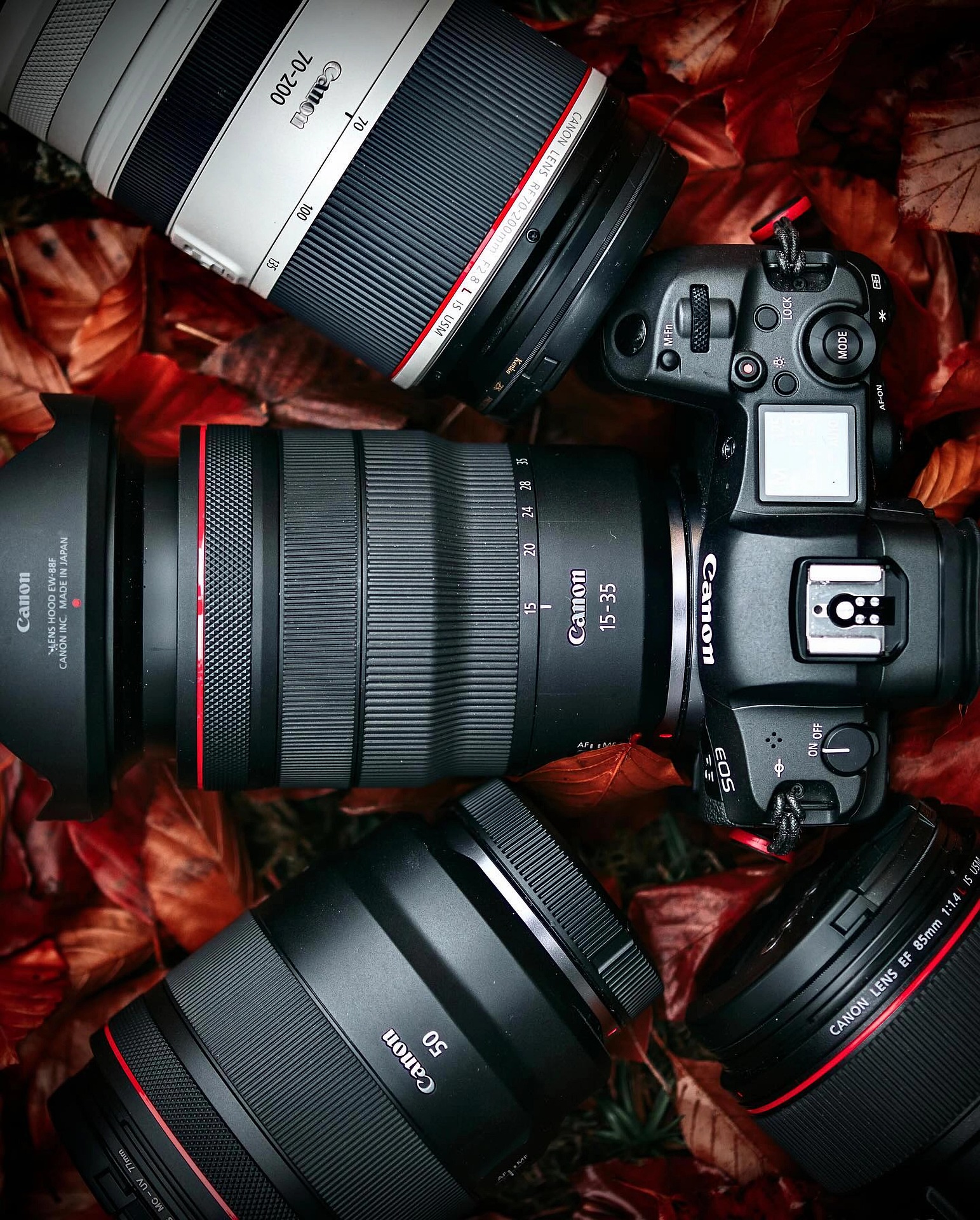 Canon RF 100mm F2.8 L Macro IS USM